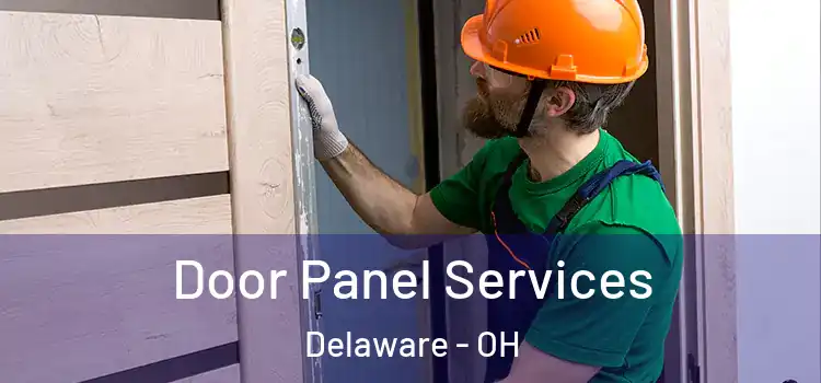 Door Panel Services Delaware - OH