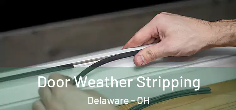 Door Weather Stripping Delaware - OH