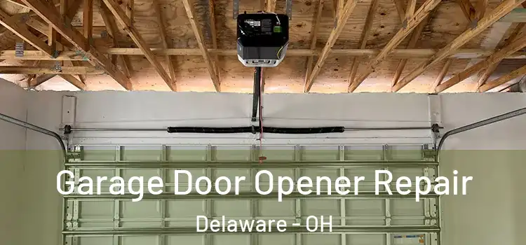 Garage Door Opener Repair Delaware - OH