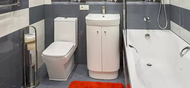 Hansgrohe Shaving Mirror Delaware
