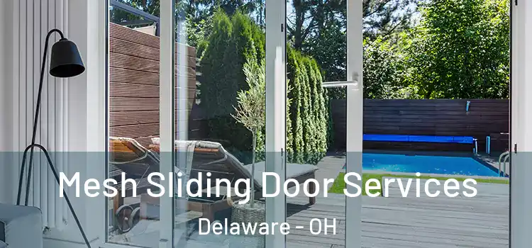 Mesh Sliding Door Services Delaware - OH