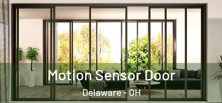 Motion Sensor Door Delaware - OH