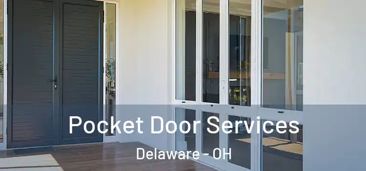  Pocket Door Services Delaware - OH