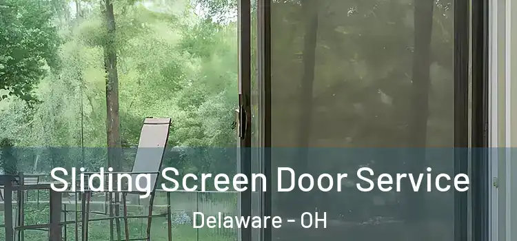 Sliding Screen Door Service Delaware - OH
